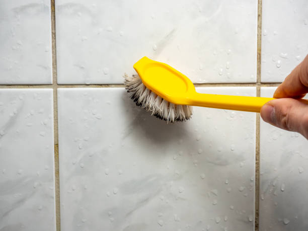 Mold Removal and Inspection in Slater Marietta, SC